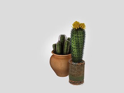 Modern Cactus Decor Set with Terracotta and Decorative Cylindrical Pots Featuring Yellow Flowers 3d model
