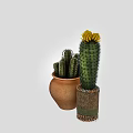 Modern Cactus Decor Set with Terracotta and Decorative Cylindrical Pots Featuring Yellow Flowers