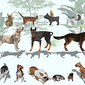 Various Reptile Species in Detailed Illustrations with Natural Green Plant Backgrounds