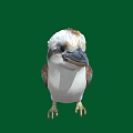 Colorful Bird with White Head Brown Body Blue Green Spotted Wings Standing on Green Background