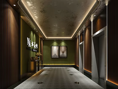 Elegant Modern Elevator Hallway With Decorative Paintings Recessed Lighting And Textured Carpet 3d model