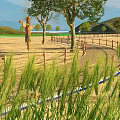 Rural Countryside Landscape with Scarecrow Trees Wooden Fence Tall Grass and Distant Mountains