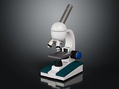 Professional White Microscope With Silver Eyepiece Black Base And Blue Knob 3d model