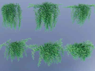 Indoor Green Trailing Hanging Basket Plants with Lush Cascading Foliage 3d model