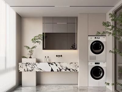 Modern Bathroom Interior With Marble Counter Mirror Cabinets And Washing Machine Dryer Plants 3d model