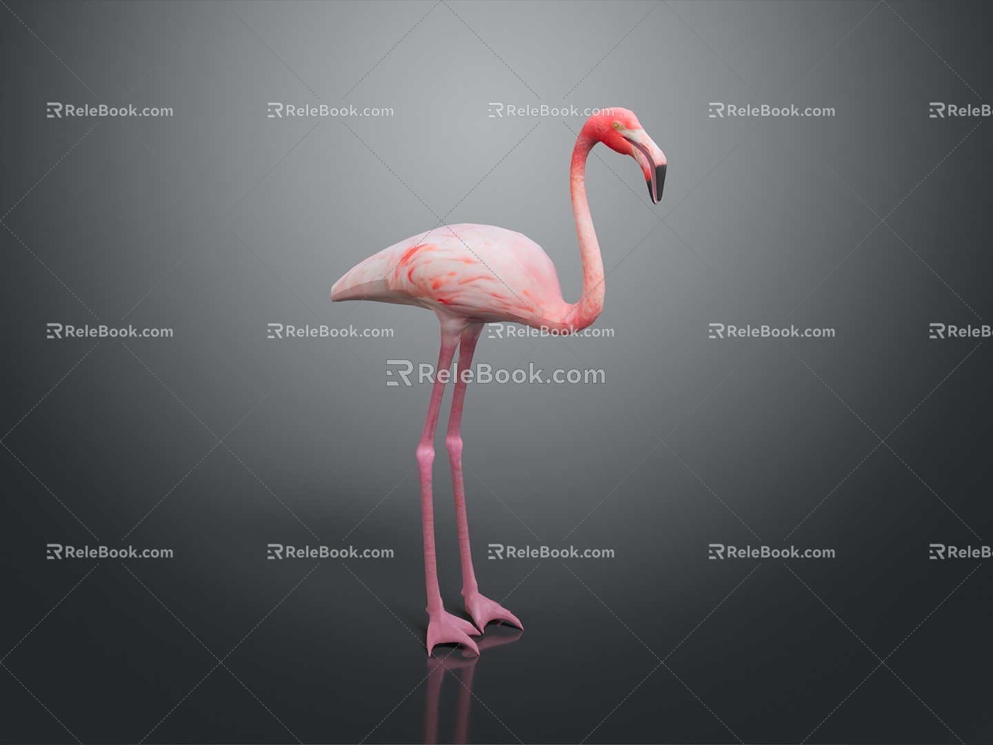 Flamingo CG Flamingo Cartoon Flamingo Animation Flamingo CG Bird Cartoon Bird Animation Birds 3d model