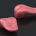 Two Pink Irregularly Shaped Tongue Models With Textured Surface Against Black Background 3d model