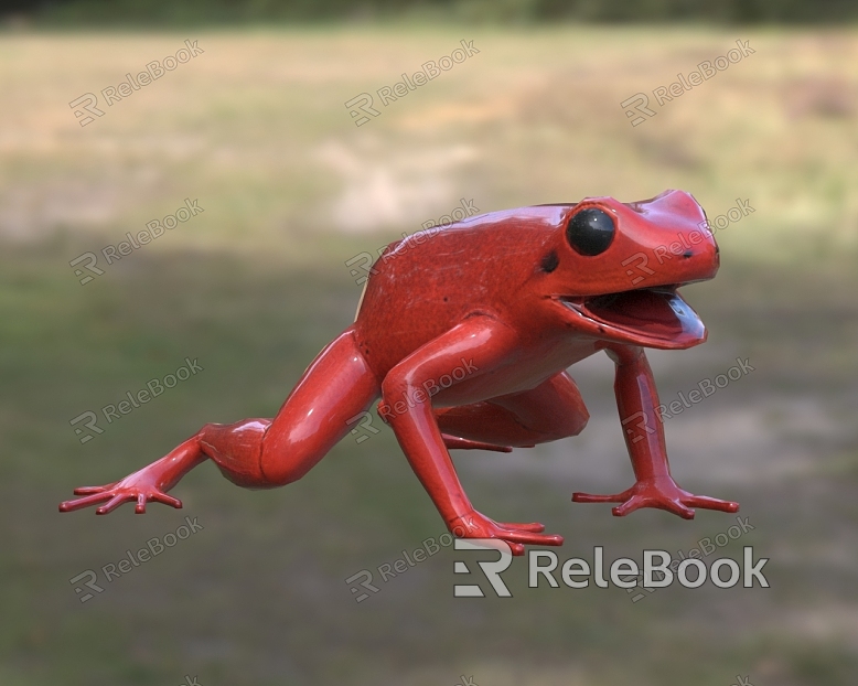 Black-eared man frogs Man frogs Man frogs model