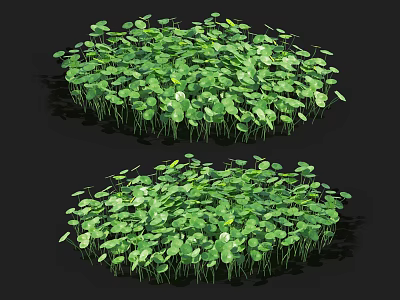 modern plants aquatic plants 3d model modern plants aquatic plants 3d model