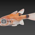 Vibrant Orange Aquatic Fish With Large Black Eyes Black Spots White Fins And Tail 3d model