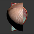 Human Eye Anatomy Detailed Structure Cross Section View Medical Illustration