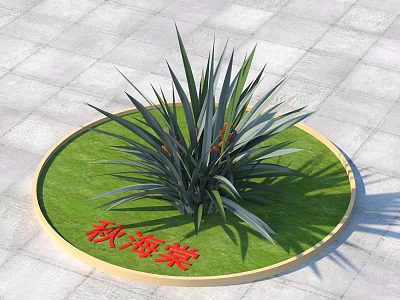 Lush Begonia Plant Growing in Circular Grass Lawn on Paved Ground 3d model