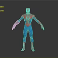 3D Spider Man Character Model In Red And Blue Costume With Spider Emblem