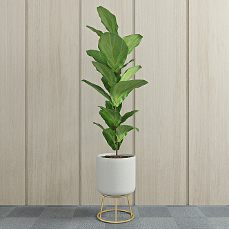 modern potted plant green plant 3d model