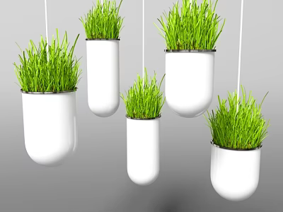 White Hanging Planters With Lush Green Grass For Modern Interior Decoration 3d model