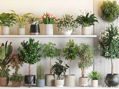 Various Indoor Potted Green And Flowering Plants With Different Planters On Shelves And Floor 3d model