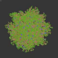 Lush Tree with Straight Trunk and Abundant Orange Fruits Among Green Branches and Leaves