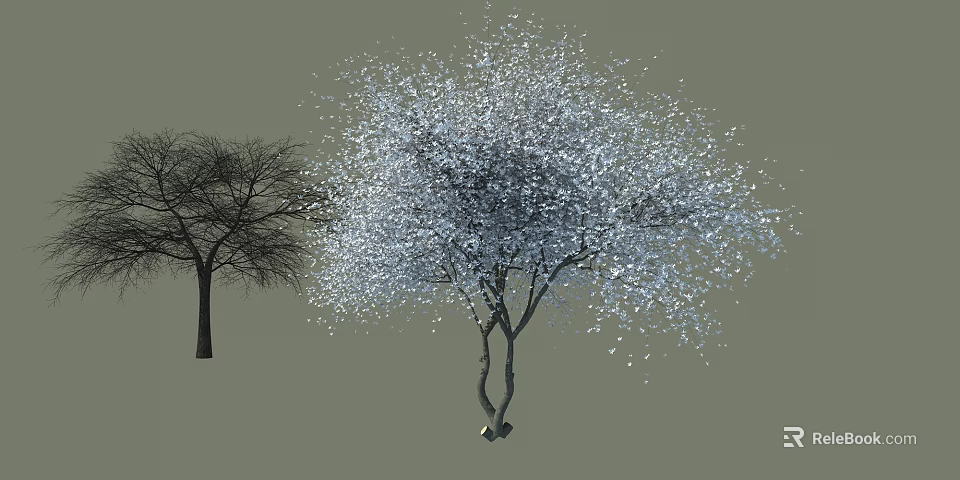 Deciduous Trees With Curved Trunks White Blossoms And Bare Branches 3d model