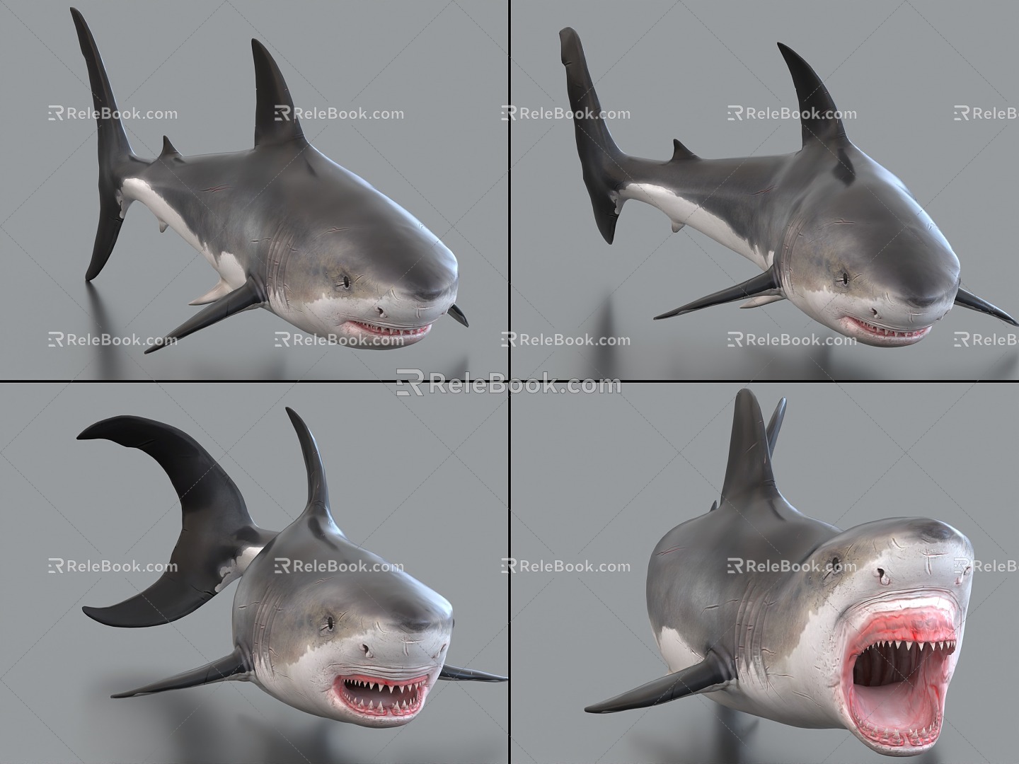 Sharks with Bound and Animated Great White Shark Sea Life 3d model