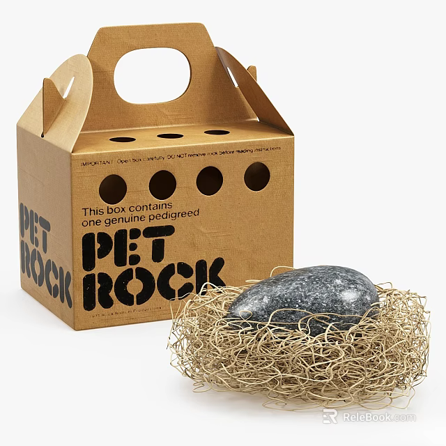 Pet Rock In Hay Nest With Cardboard Box And Natural Stone Design 3d model 