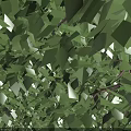 Modern High Rise Office Building Exterior Surrounded By Green Trees Lush Lawns And Parking Area