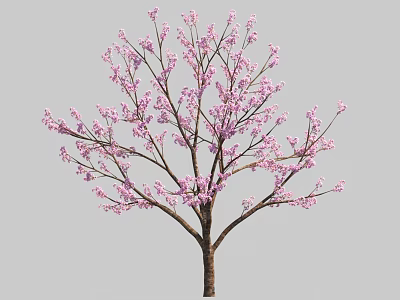 Decorative Pink Blossom Tree With Brown Trunk And Lush Branches 3d model