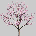 Decorative Pink Blossom Tree With Brown Trunk And Lush Branches