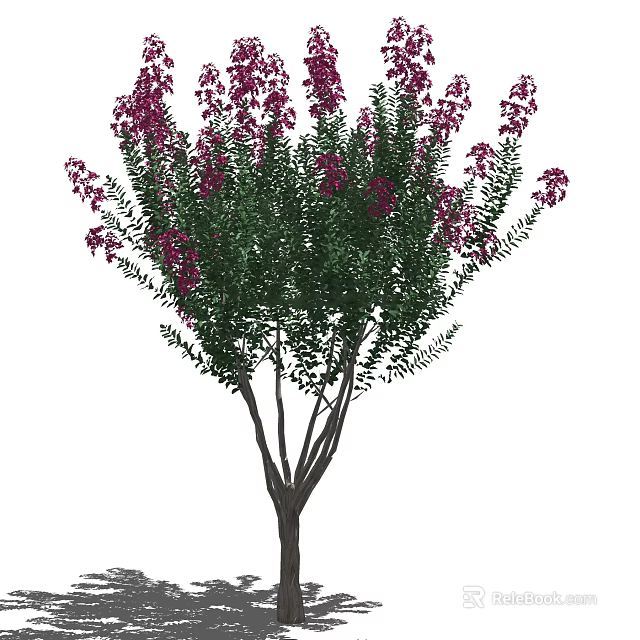 Lush Flowering Tree with Green Leaves and Purple Blooms in Garden 3d model 