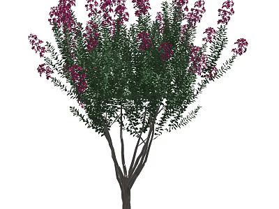 Lush Flowering Tree with Green Leaves and Purple Blooms in Garden 3d model