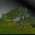 Well Designed Garden Landscape With Osmanthus Trees Balls Shrubs And Green Lawn