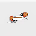 Two Orange Ladybugs With Black Spots On White Background 3d model