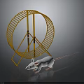 White Mouse Exploring Golden Hamster Wheel With Metal Frame On Reflective Surface 3d model