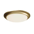 Round Simple Ceiling Lamp 3d model
