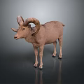 Brown Ram With Large Curved Horns Standing On Gray Background 3d model