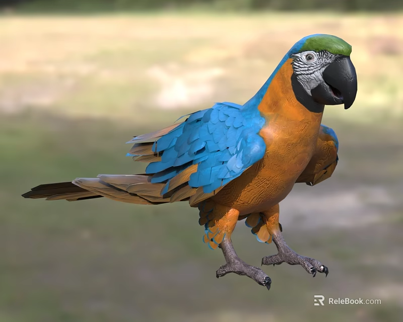 Vibrant Blue and Orange Parrot with Green Head Feathers and Black Beak in Natural Setting 3d model 