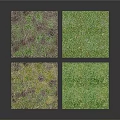 Grass Texture Tiles Featuring Different Green Grass Textures For Scene Design