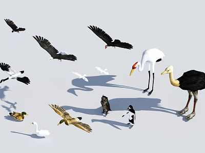 Flying Animals Collection Featuring Cranes Swans Ducks Eagles And More On White Background 3d model