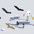 Flying Animals Collection Featuring Cranes Swans Ducks Eagles And More On White Background 3d model