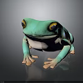 Turquoise Green Frog With Yellow Eyes White Underbelly And Pink Toes On Dark Reflective Surface