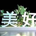 Three Dimensional Letters Display With Green Plants And Blue Water Path