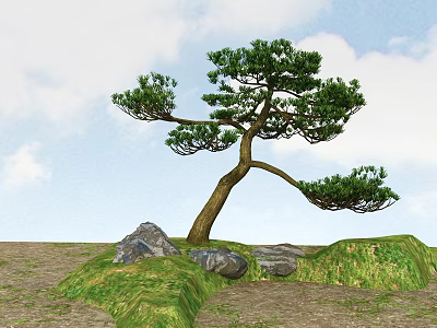 Curved Trunk Tree with Green Foliage Near Rocks and Grass Under Blue Sky Clouds 3d model