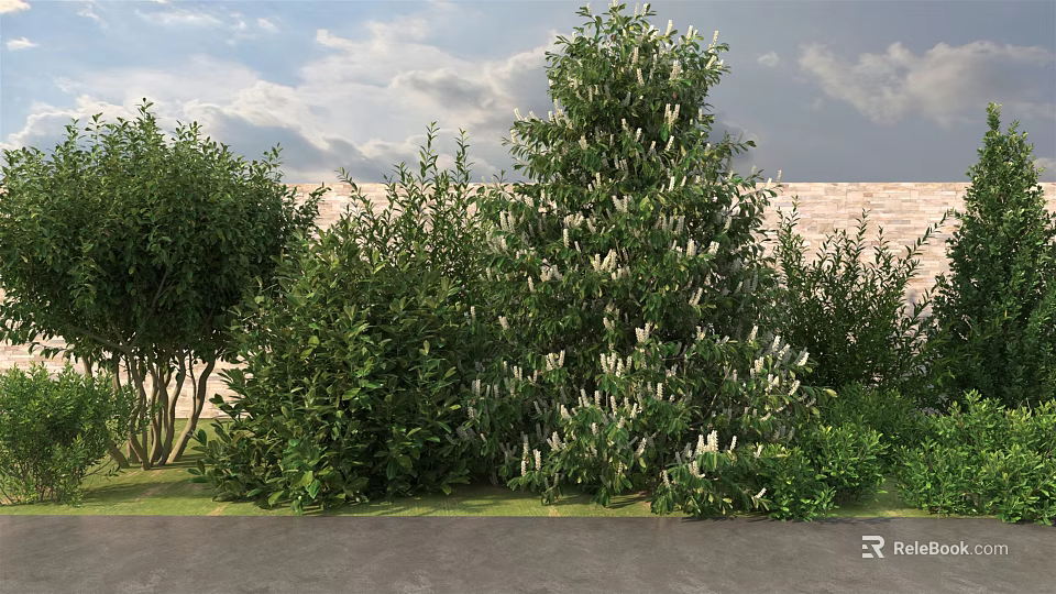 Green Flowering Bushes With White Blooms In Garden With Brick Wall And Lawn 3d model 
