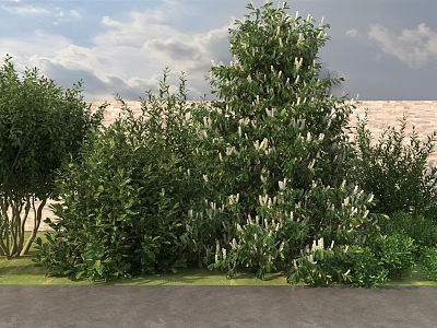 Green Flowering Bushes With White Blooms In Garden With Brick Wall And Lawn 3d model