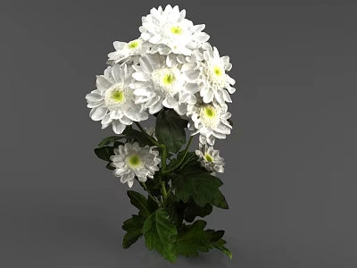 plant white chrysanthemum flowers and grass 3d model