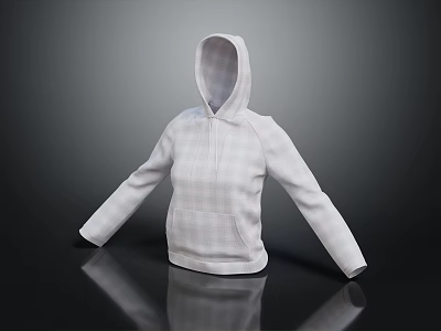 White Plaid Zip Up Hoodie with Long Sleeves Front Pocket and Simple Design 3d model