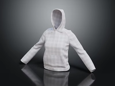 White Plaid Zip Up Hoodie with Long Sleeves Front Pocket and Simple Design 3d model
