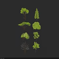 Various Green Tree Models With Different Shapes And Foliage Designs