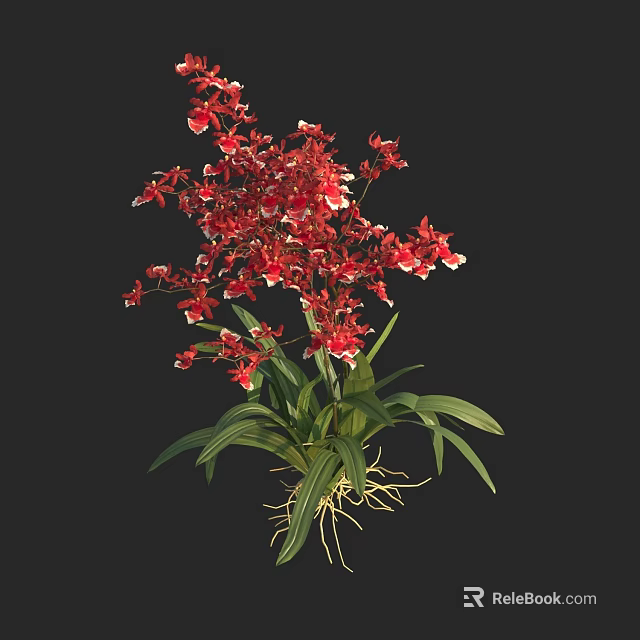 Red Orchid Plant With Vibrant Red Flowers Green Leaves And Visible Roots 3d model 