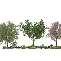 Modern Tree Landscape Trees Flowering Trees Ornamental Trees Sakura Trees 3d model