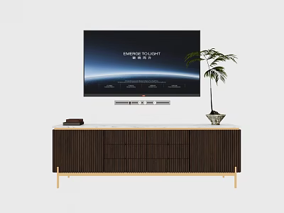 Modern Dark Wood TV Stand With Gold Legs Potted Plant And Wall Mounted TV 3d model